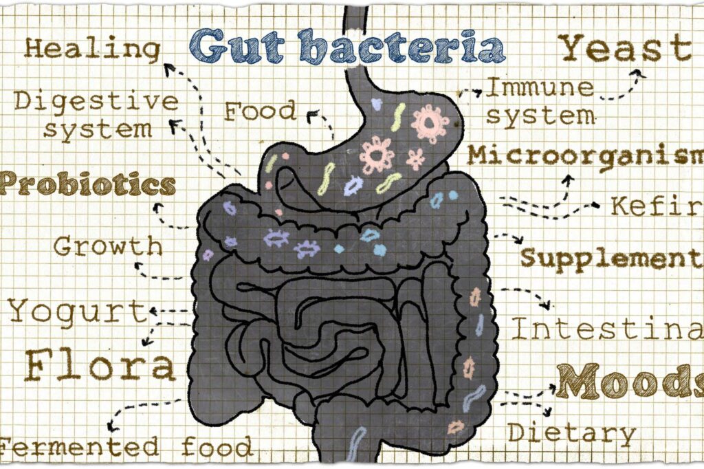 gut bacteria is good