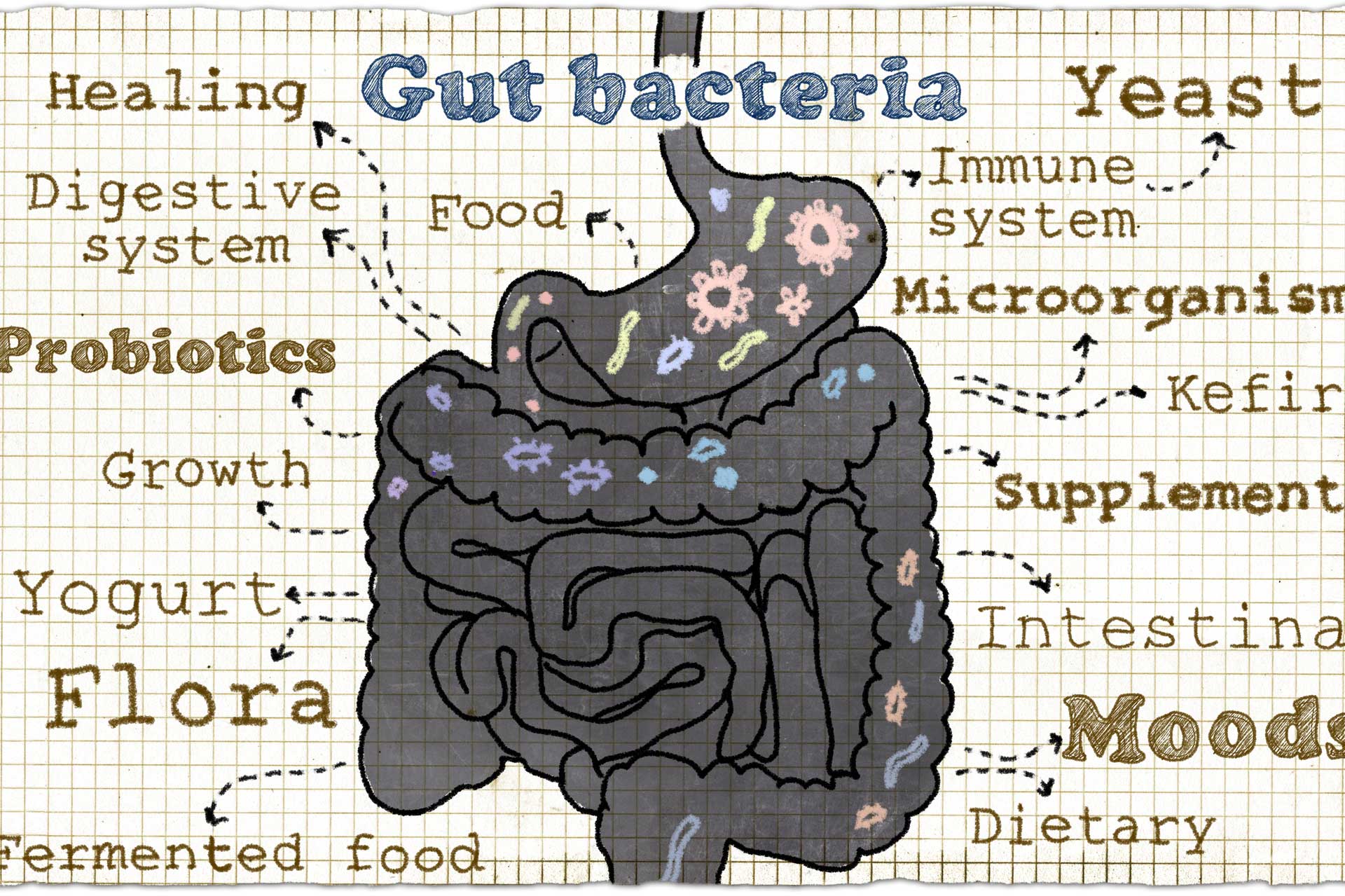 Episode 9: Dysbiosis And The Battle For Good Bacteria