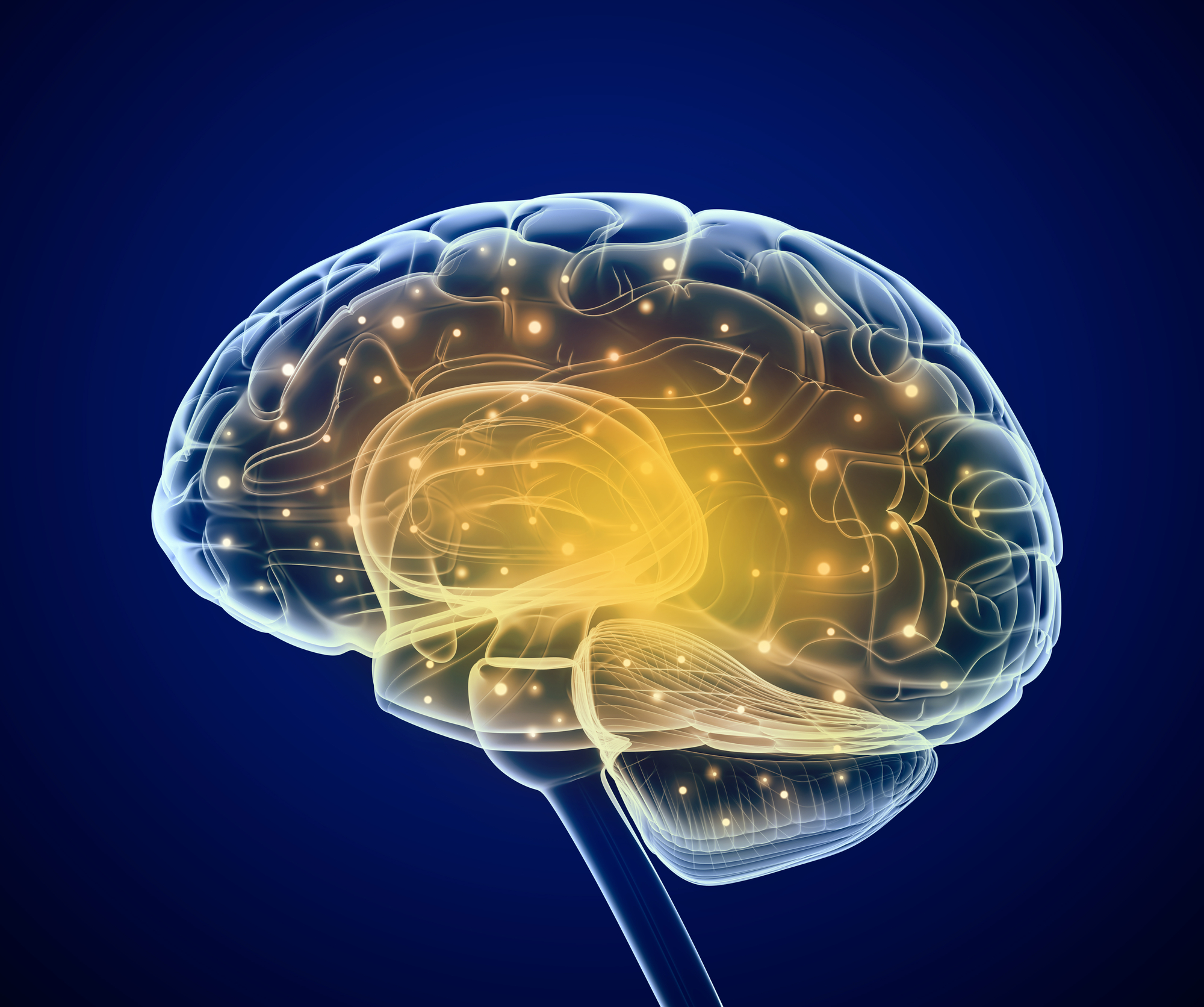 brain health research articles