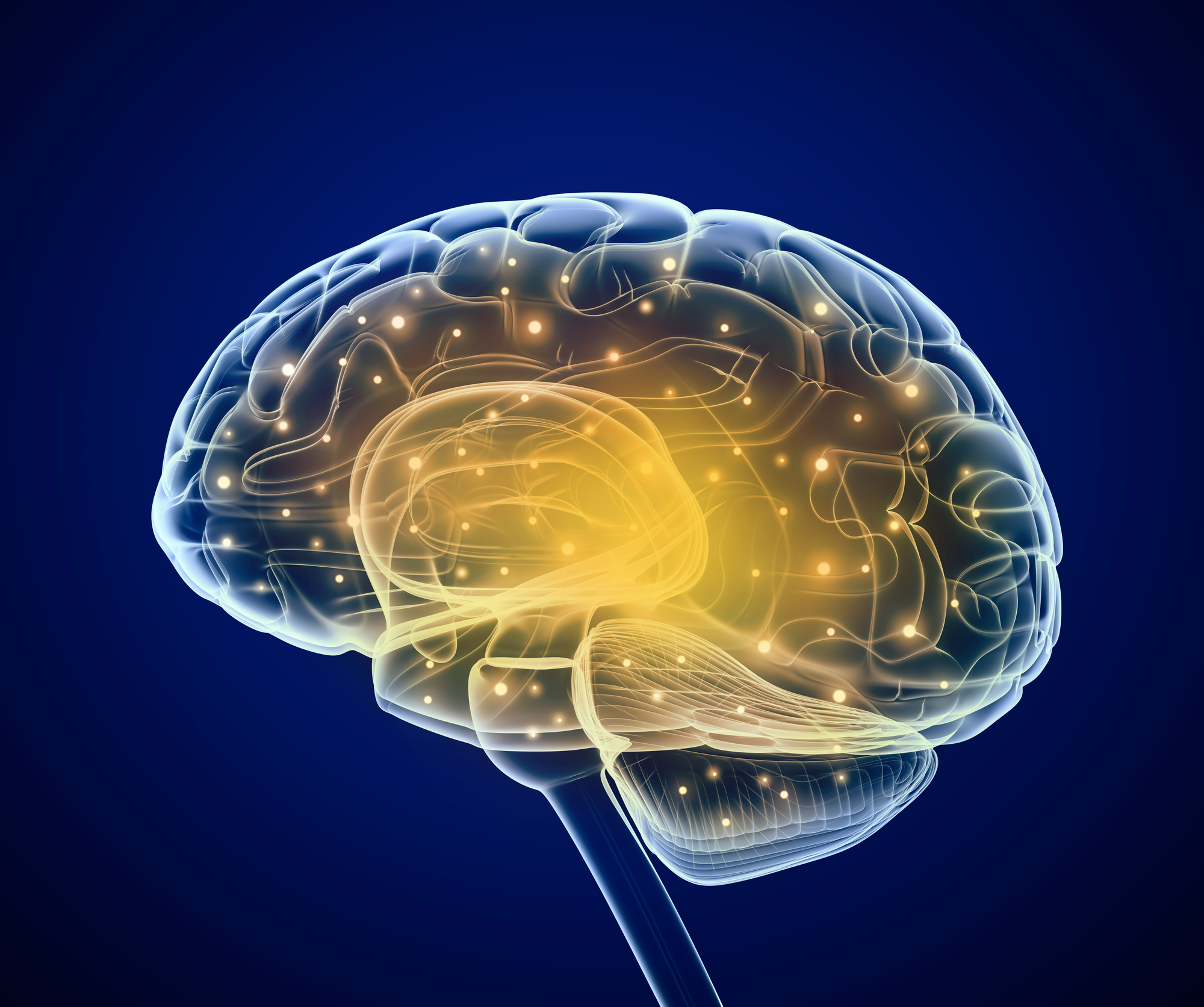 Episode 20: Improving Brain Memory